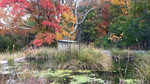 photo thumbnail #15