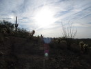 photo thumbnail #3
