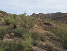 photo thumbnail #12