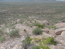 photo thumbnail #13
