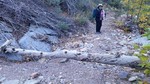 photo thumbnail #4
