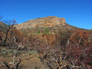 photo thumbnail #3