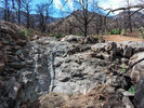 photo thumbnail #3