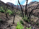 photo thumbnail #5