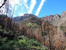 photo thumbnail #9