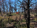 photo thumbnail #14