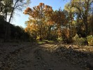 photo thumbnail #1