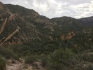 photo thumbnail #7