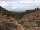 photo thumbnail #9