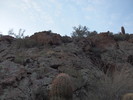 photo thumbnail #3