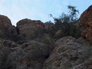 photo thumbnail #12