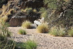 photo thumbnail #1