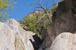 photo thumbnail #8