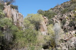 photo thumbnail #12
