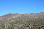 photo thumbnail #14