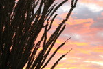 photo thumbnail #15