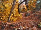 photo thumbnail #11