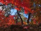 photo thumbnail #12