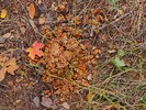 photo thumbnail #13