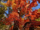 photo thumbnail #14