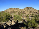 photo thumbnail #3