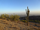 photo thumbnail #4