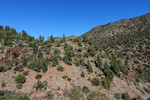photo thumbnail #2