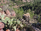photo thumbnail #11
