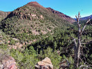 photo thumbnail #12