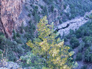 photo thumbnail #14