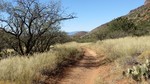 photo thumbnail #4