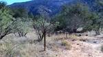 photo thumbnail #9