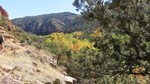 photo thumbnail #12