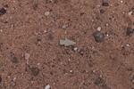photo thumbnail #13