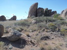 photo thumbnail #5