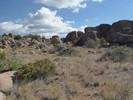 photo thumbnail #6