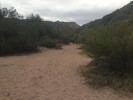photo thumbnail #13