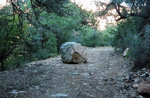 photo thumbnail #9