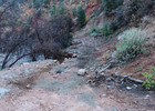 photo thumbnail #13