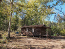 2016-11-11 :1: Cherry Creek Road FR 203 :: Oregon_Hiker