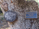 2016-11-11 :1: Cherry Creek Road FR 203 :: Oregon_Hiker
