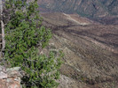 photo thumbnail #11