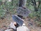 photo thumbnail #14