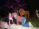 photo thumbnail #7