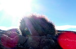 photo thumbnail #4