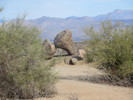 photo thumbnail #7