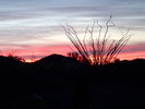 photo thumbnail #1