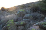 photo thumbnail #4