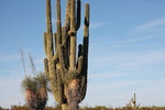photo thumbnail #11