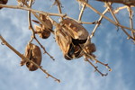 photo thumbnail #12
